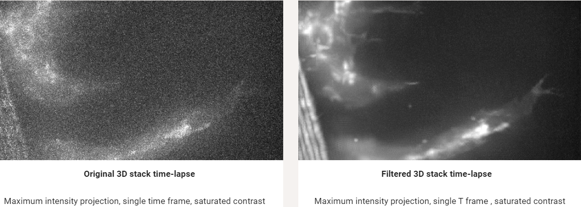 image-denoising-using-matlab-biii